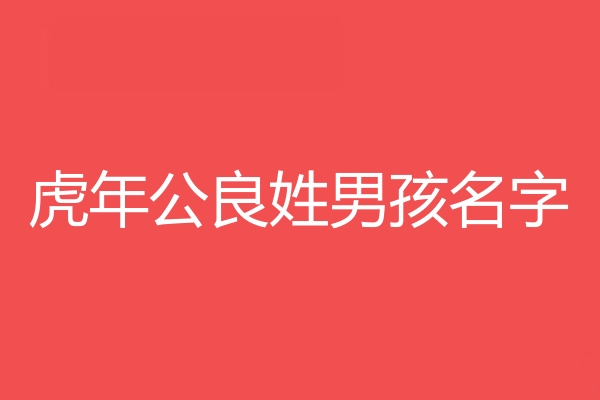 公良姓男孩名字