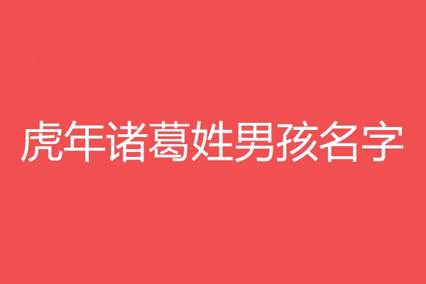 诸葛姓男孩名字