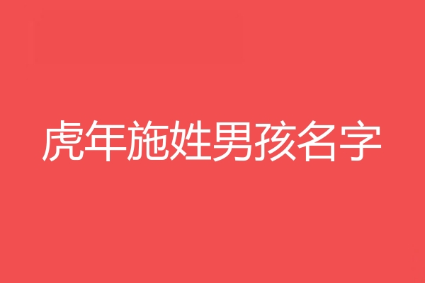 施姓男孩名字