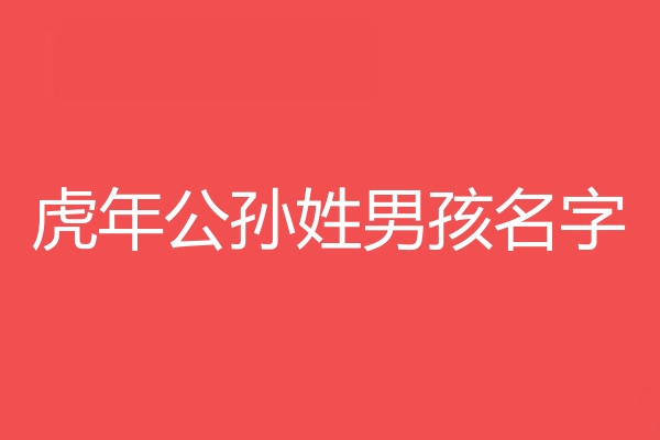 公孙姓男孩名字